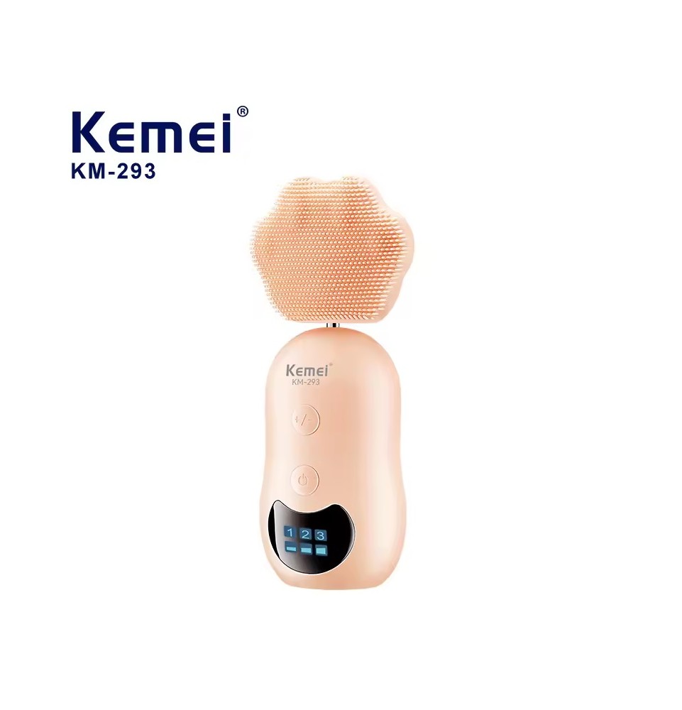 Brosse électrique 2 en 1 pour le nettoyage du visage, masseur facial en silicone, vibration ultrasonique Brosse électrique 2 en 1 pour le nettoyage du visage, masseur facial en silicone, vibration ultrasonique