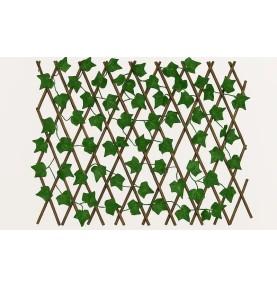 Paravent extensible vegetale