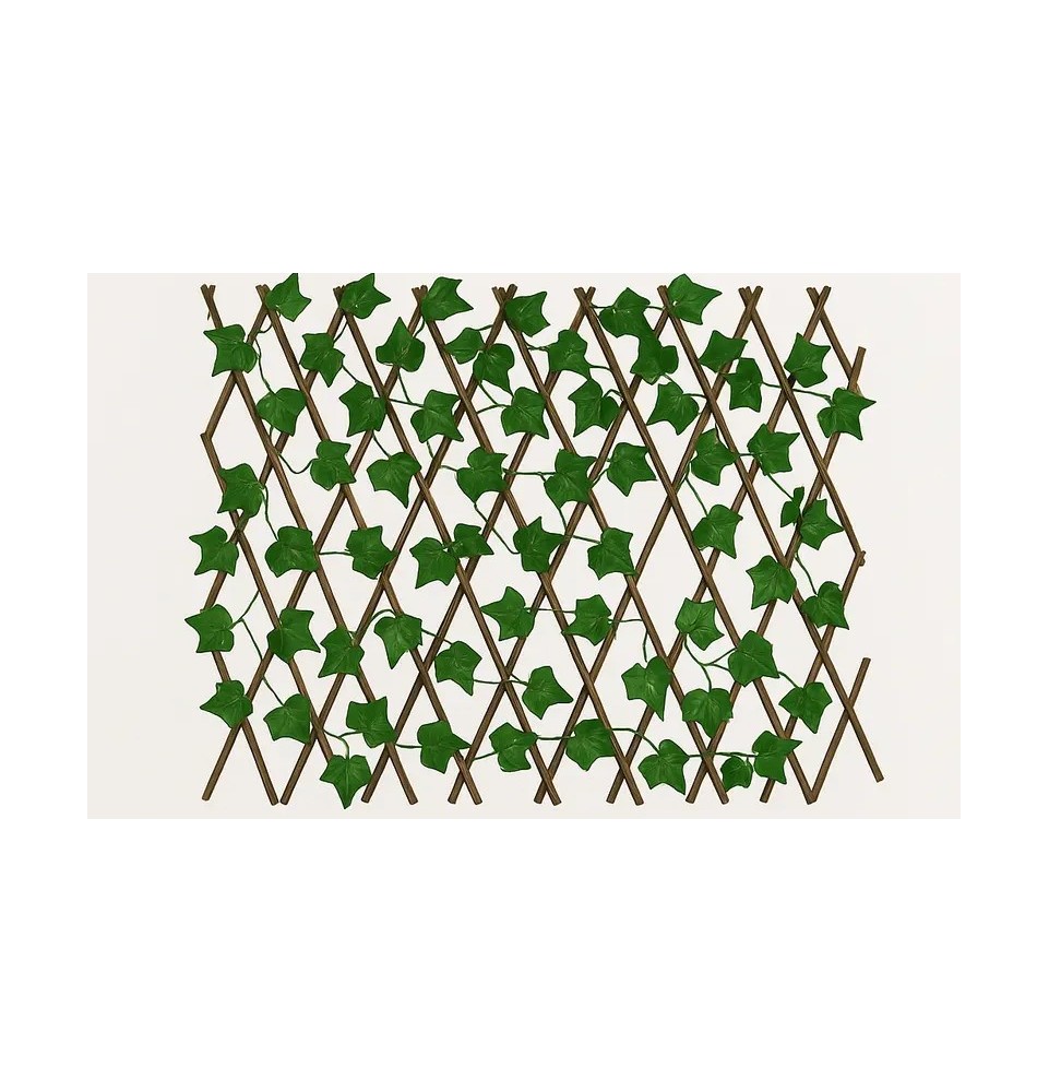 Paravent extensible vegetale